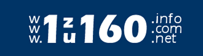 1zu160
