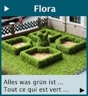 Scen-tssn-Flora